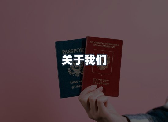 关于我们